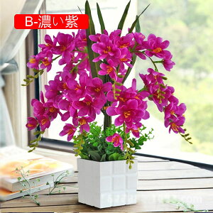  Ӓ Ԃ̉ԑ ԕrt lHϗtA LC tFCNt[ u[P ͂Ȃ CeA ƒ ItBX ʐ^Be  u JXj ̓Mtg Vj v[