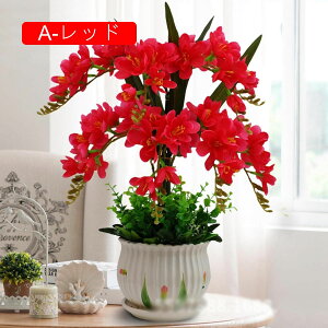  Ӓ Ԃ̉ԑ ԕrt lHϗtA LC tFCNt[ u[P ͂Ȃ CeA ƒ ItBX ʐ^Be  u JXj ̓Mtg Vj v[