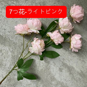  O ͂Ȃ A[gt[ ڂԑ { tFCNt[ u[P   u CeA z[ ItBX iX  sO    FI