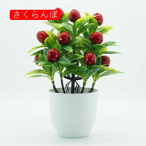 lHϗtA A ~ |    K[f ItBX rO[ { A } CeA Bep  蕨 b炸 v[g   l