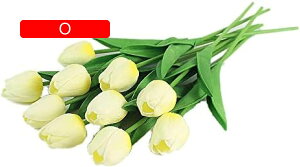 10{Zbg  `[bv  A[gt[ u[P ԑ ̓ ԃMtg ͂Ȃ ʐ^Be j v[g CeA 