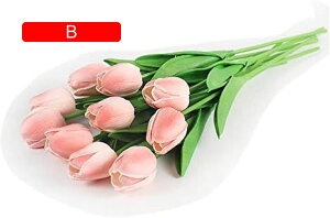 10{Zbg  `[bv  A[gt[ u[P ԑ ̓ ԃMtg ͂Ȃ ʐ^Be j v[g CeA 