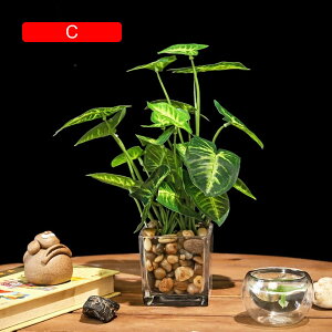 tFCNO[  A ~ KXt lHϗtA { 25cm CeA ItBX X  Be u ͂Ȃ b炸  k Vz JX 蕨