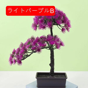 }q lHϗtA A ~ |    K[f ItBX rO[ { A } CeA Bep  蕨 b炸 v[g  