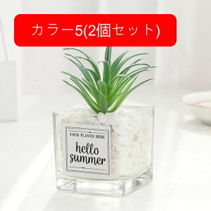 nI A tFCNO[ ~j  KXt A ~ lHϗtA  CeA  X  u ͂Ȃ b炸  JXj wj a 