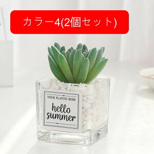 nI A tFCNO[ ~j  KXt A ~ lHϗtA  CeA  X  u ͂Ȃ b炸  JXj wj a 