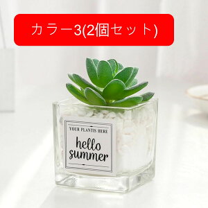 nI A tFCNO[ ~j  KXt A ~ lHϗtA  CeA  X  u ͂Ȃ b炸  JXj wj a 