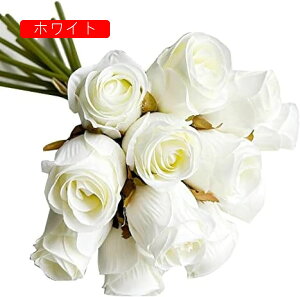  ԑ o 12{ ͂Ȃ  KN  CeA ̓ v[g o^C  t[Mtg