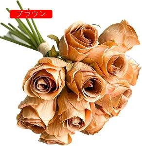  ԑ o 12{ ͂Ȃ  KN  CeA ̓ v[g o^C  t[Mtg