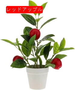 13C` lHc[ A ~jA  tFCNAt[c CG[  rO[ ItBX fXN Q p