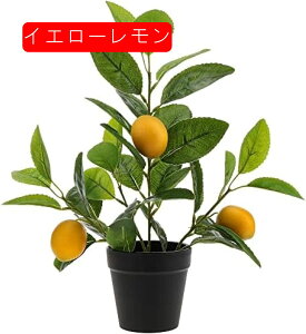 13C` lHc[ A ~jA  tFCNAt[c CG[  rO[ ItBX fXN Q p