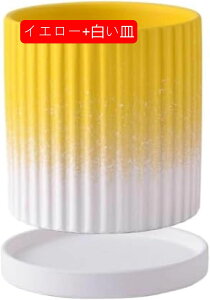 Aؔ  Aؔ  v^[ Jo[   Aؔ  ^ Jo[   Jo[ Mt v^[  Aؔ  v^[