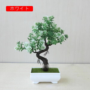  lHϗtA CeA  k tFCNO[ ~ A   z[  fXN A u Vzj ] z Mtg 蕨 v[g