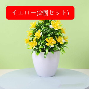 tFCNO[ lHϗtA  vX`bN A  ~ CeA ItBX X  u ͂Ȃ lH JXj Vzj zCg