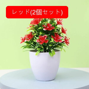 tFCNO[ lHϗtA  vX`bN A  ~ CeA ItBX X  u ͂Ȃ lH JXj Vzj zCg