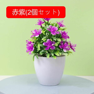 tFCNO[ lHϗtA  vX`bN A  ~ CeA ItBX X  u ͂Ȃ lH JXj Vzj zCg