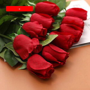  CeA ԐF 10{ [Y o KN ͂Ȃ A[gt[ ̓v[g Mtg 킢 j   X iX  p[eB[ a ԑ 蕨̉ l