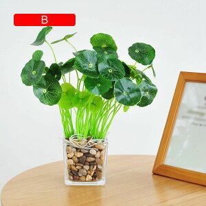 ϗtA  KXt {  ͂Ȃ bsv lH tFCNO[ CeA ItBX X  JƏj rO///ʑ/Qp A 蕨 v