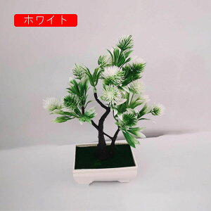 tFCNO[ ϗtA  lHϗtA ͂Ȃ b炸  25cm*19cm CeA rO ItBX X 쑕 u ] Vz zj v[g