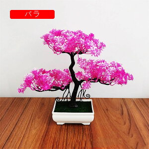 ϗtA  A ւ̉ lHϗtA tFCNO[  24cm ~ CeA  ItBX X  u ͂Ȃ b炸  JXj 蕨 v[g o