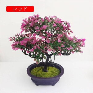 lHϗtA A tFCNO[ { 26cm*31cm ~ CeA ItBX X  Be  u ͂Ȃ b炸  蕨 v[g bh