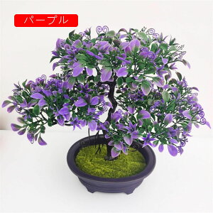 lHϗtA A tFCNO[ { 26cm*31cm ~ CeA ItBX X  Be  u ͂Ȃ b炸  蕨 v[g bh