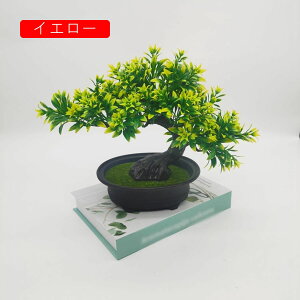 lHϗtA ~j A tFCNO[ A 25cm*30cm ~ CeA ƒ ItBX X   u ͂Ȃ b炸  蕨 v[g bh