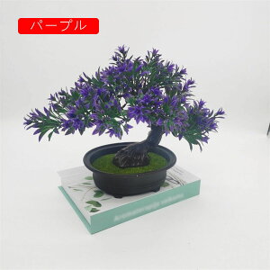 lHϗtA ~j A tFCNO[ A 25cm*30cm ~ CeA ƒ ItBX X   u ͂Ȃ b炸  蕨 v[g bh