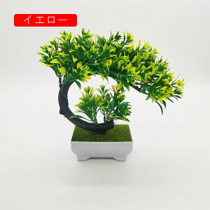 lHϗtA tFCNO[ ~j  A { 21cm*20cm ~ CeA ItBX X  u ͂Ȃ b炸  JXj ]j v[