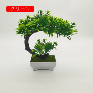 lHϗtA tFCNO[ ~j  A { 21cm*20cm ~ CeA ItBX X  u ͂Ȃ b炸  JXj ]j v[