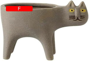 Aؔ  픫 A ϗtA T{e t[|bg K[fjO XJ[tt  v^[ CeA 퐻 k Ƒ L^ 