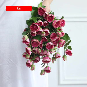  CeA F 10{ [Y o KN ͂Ȃ A[gt[ ̓v[g Mtg 킢 j   X iX  p[eB[ a ԑ 蕨̉ l