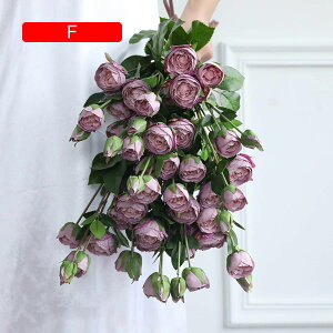  CeA F 10{ [Y o KN ͂Ȃ A[gt[ ̓v[g Mtg 킢 j   X iX  p[eB[ a ԑ 蕨̉ l