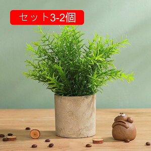 tFCNO[ [J lHϗtA  A ~  ~j CeA   sv bsv p Vzj ̓ ̓ Ղ 蕨 ItBX z[ f