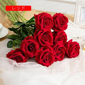  o 9{Zbg  ԑ  CeA A[gt[  u[P KN ԏ o^Cf[ ̓ a Mtg }`bNȗے rO K[fjO Q It