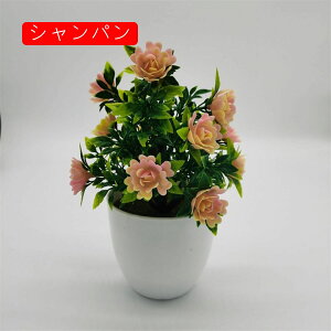 tFCNO[ lHϗtA  [YԔA  ~ CeA ItBX X  u { ͂Ȃ lH Vj ]j Ԏ