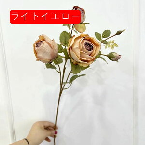 1{ o  ԑ CeA ͂Ȃ Mtg v[g A[gt[  X/iX p[eB[ rO K[fjO Q  p z[ /a ItBX/p[ 