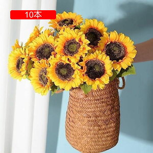 Ђ܂  ԑ 10{Zbg lHϗtA u[P ͂Ȃ ԏ ԃO[ u ʐ^Be  a j v[g CeA  Ԍ|p LO 