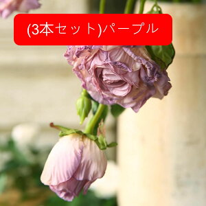  [Y ỏԑ u[P g ͂Ȃ A[gt[ CeA e[u AW I[ig Be  o^C NX}X j v[g 蕨 3