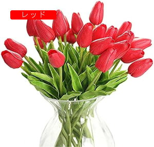  `[bv ͂Ȃ 10{Zbg A[gt[ ԑ  ϏܐA CeA tFCNt[ lHA  蕨 v[g ̓ a LO Ǝ j Mtg