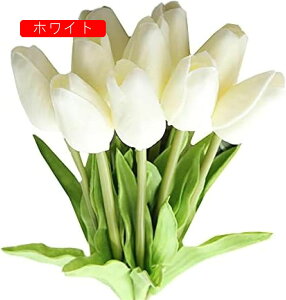  `[bv ͂Ȃ 10{Zbg A[gt[ ԑ  ϏܐA CeA tFCNt[ lHA  蕨 v[g ̓ a LO Ǝ j Mtg