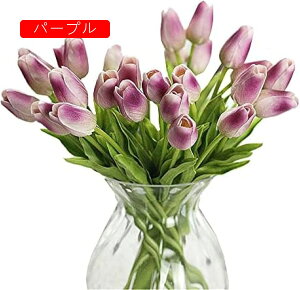  `[bv ͂Ȃ 10{Zbg A[gt[ ԑ  ϏܐA CeA tFCNt[ lHA  蕨 v[g ̓ a LO Ǝ j Mtg