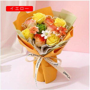 \[vt[ ԑ\[vt[ ܃\[vt[ o\[vt[  ԑ̓ Mtg͂Ȃ   a hV̓ LO JXj