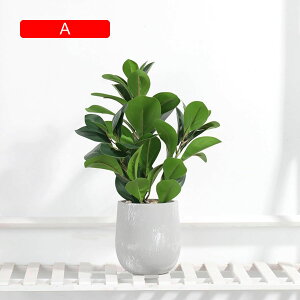 tFCNO[ ~j  A t ~ lHϗtA { c k CeA ItBX X  u ͂Ȃ b炸  JXj Vzj v[