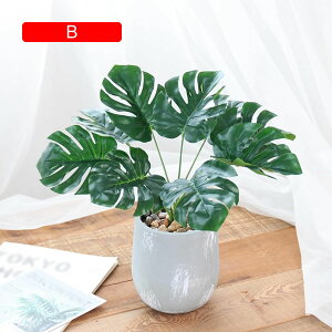 tFCNO[ ~j  A t ~ lHϗtA { c k CeA ItBX X  u ͂Ȃ b炸  JXj Vzj v[