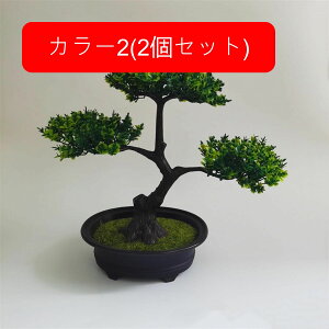 ϗtA  A lHϗtA tFCNO[ { ~ CeA  ItBX X  u ͂Ȃ b炸  JXj Vzv[g 2Zbg