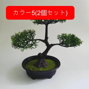 ϗtA  A lHϗtA tFCNO[ { ~ CeA  ItBX X  u ͂Ȃ b炸  JXj Vzv[g 2Zbg