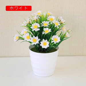  lHϗtA CeA ~j A  k tFCNt[ tFCNO[  nӓI   ItBX z[  Be Ԃ̖~ e[u̒u Vz