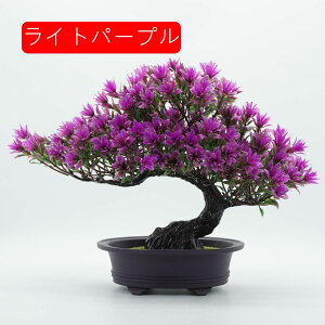 }q lHϗtA A ~ |    K[f ItBX rO[ { A } CeA Bep  蕨 b炸 v[g  