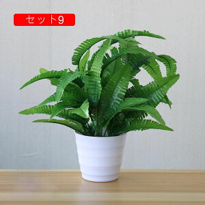 tFCNO[ lHϗtA A ~͐A  ~j CeA p  bv炸 Vzj Vj z Mtg 蕨 ItBX z[   e[u 